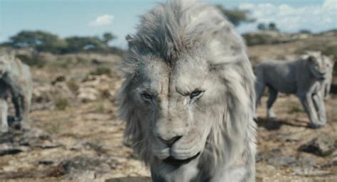 Mufasa Le Roi Lion Que Vaut Le Film Disney Tant Attendu