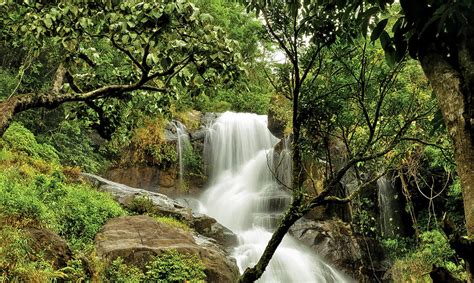 7 Waterfalls in Wayanad You Won't Want to Miss in 2025