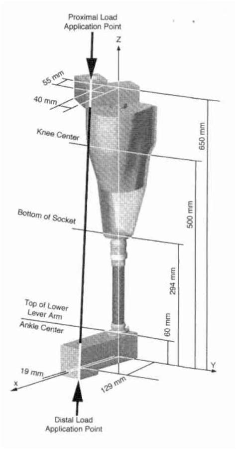 Pdf Static Structural Testing Of Trans Tibial Composite Sockets