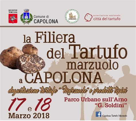 La Filiera Del Tartufo Marzuolo A Capolona Citt Del Tartufo