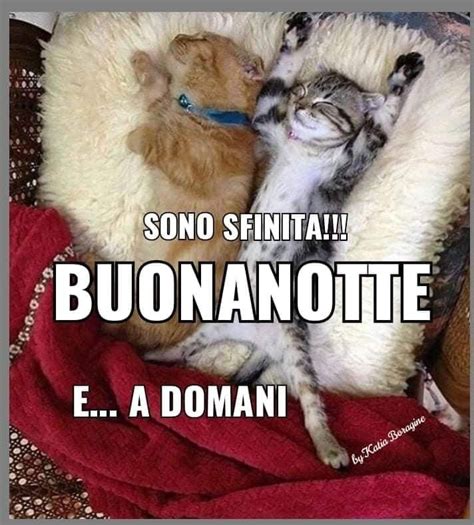 Pin Di Marinella Giardina Su Buonanotte Buona Notte Divertente