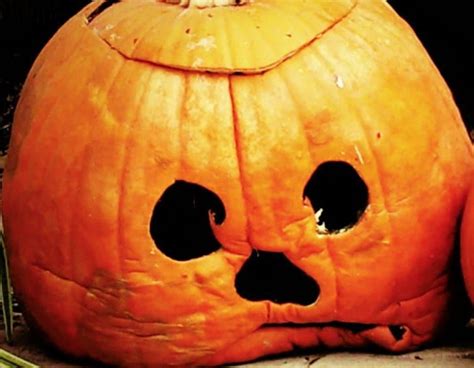 Tips For Keeping Your Fall Pumpkins From Rotting