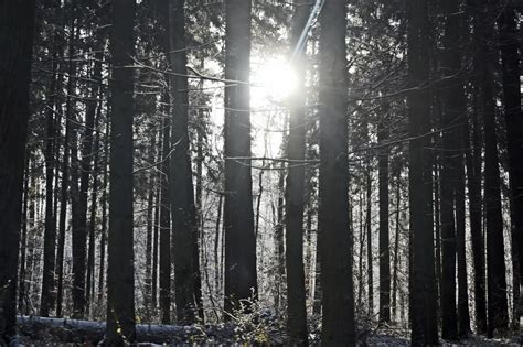 Kto Kocha Puszcz