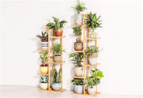 Bamboo Plant Stand Rack GrabOne NZ