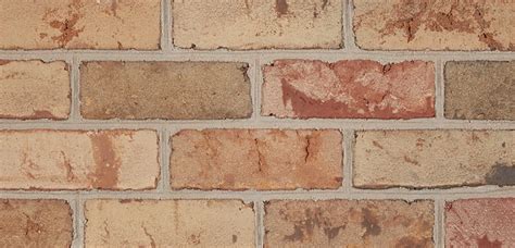 South New Jersey Tan Face Brick Belden Tri State Building Materials