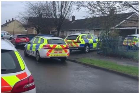 Watch The Video Police Find Cannabis Plants In Doncaster Drugs Raid