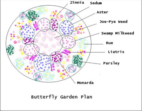 Butterfly Garden Plan