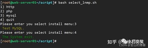 Linux Shell 脚本入门到实战详解 知乎