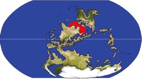 The Belantsea 1818 Phylum Chordata Class The Evolution Of