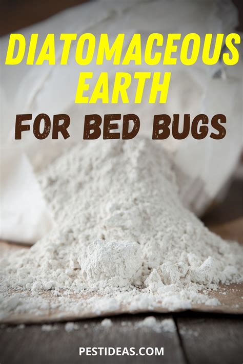 Learn How To Use Diatomaceous Earth To Kill Bed Bugs