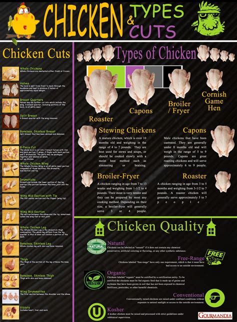 Chicken Types And Cuts Visually Kip Recepten