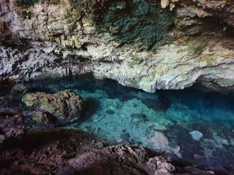 Mnemba Island Tour Jozani Forest Tour The Rock Kuza Cave Getyourguide