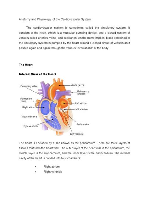 The Cardiovascular System Pdf