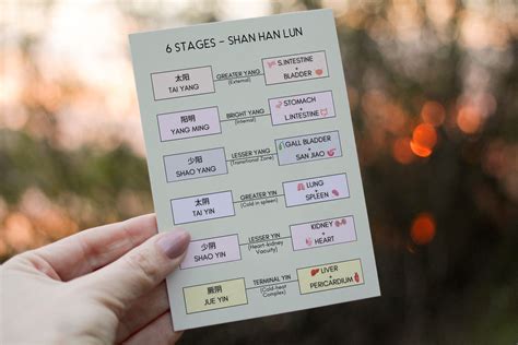 Flashcards Tcm Stages Of Fever Related Diseases Shan Han Lun