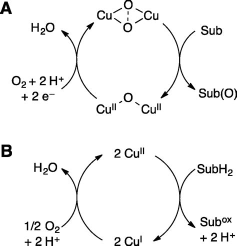 Catalytic Oxidation Ozone Intechopen Petrochemical Effluent Figure