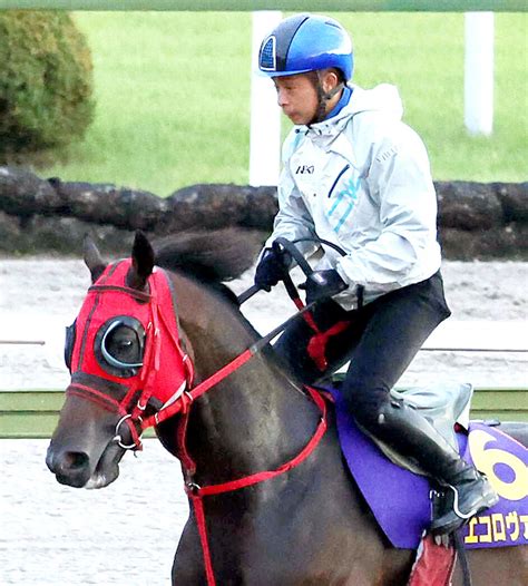 【岩田康誠の熱血！！競馬道】入念にコンタクト取ってきたヴァルツと淀の3000メートルへ Umatoku 馬トク