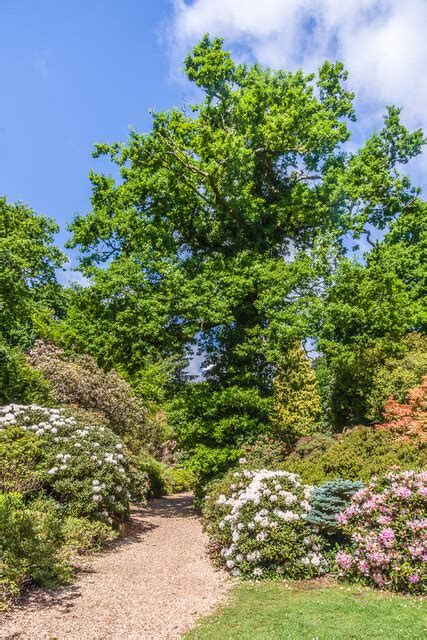 Exbury Gardens Ian Capper Geograph Britain And Ireland