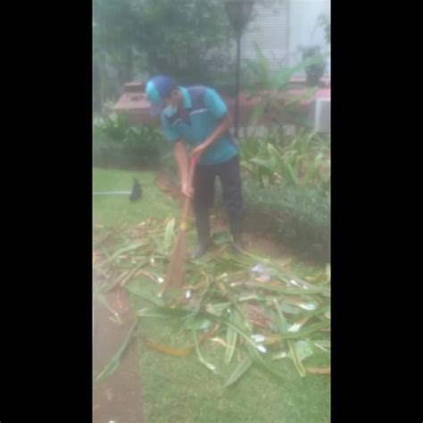 Jual Perawatan Taman Menyapu Sampah Daun Di Amartapura Oleh Pt