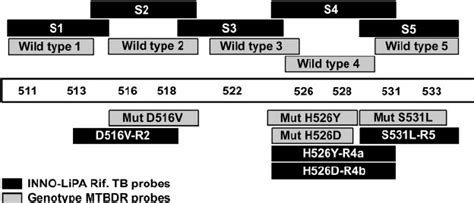 Locations Of Genotype Mtbdr And Inno Lipa Rif Tb Probes Within The