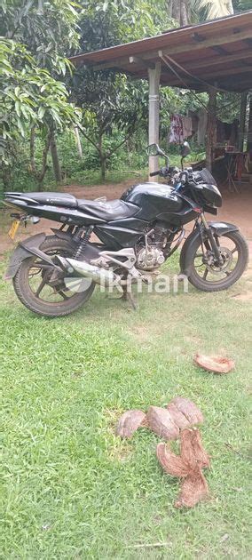 Bajaj Pulsar 135 250000 2024 For Sale In Maharagama Ikman