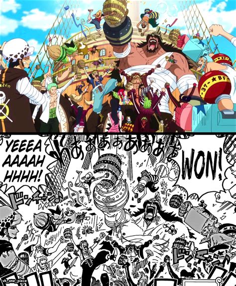 One Piece One Piece Episodes Manga Vs Anime One Piece World