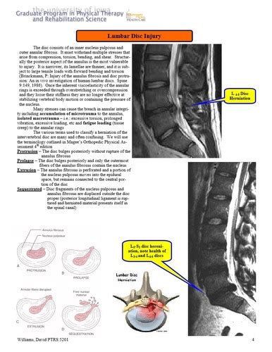 MSK UNIT 2 Lumbar Spine Flashcards Quizlet