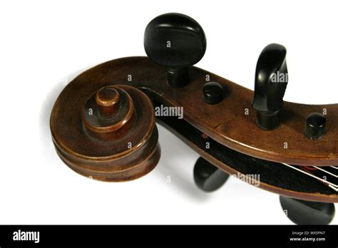 Cello Scroll Detail Stock Photo Alamy