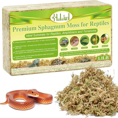 Amazon Halatool Lb Natural Sphagnum Moss For Reptiles Premium