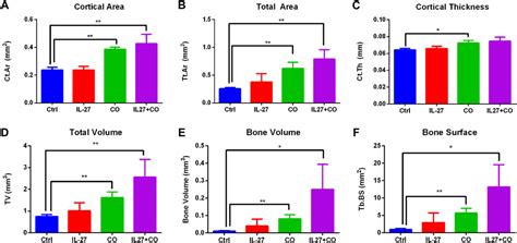 Frontiers Cabozantinib And Il Combinatorial Therapy For Bone