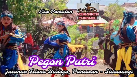 Pegon Putri Jaranan Trisno Budoyo Pancoran Sidowangi Live