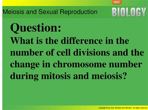 Ppt Genetics Powerpoint Presentation Free Download Id 9163569