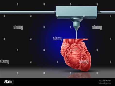 Bioprinting Organs Hi Res Stock Photography And Images Alamy