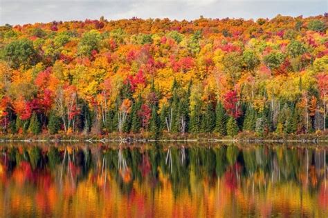 The Trees Are Changing Colors And Reflecting In The Water