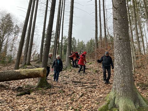 K T Klub Esk Ch Turist Hradec Kr Lov Fotoalbum Rok