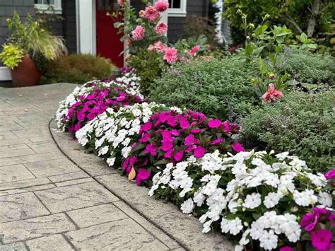 8 Low Maintenance Plant Garden Border Ideas Home Briefings