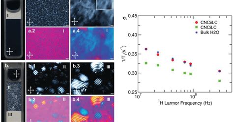 Cellulose Nanocrystal Aqueous Colloidal Suspensions Evidence Of