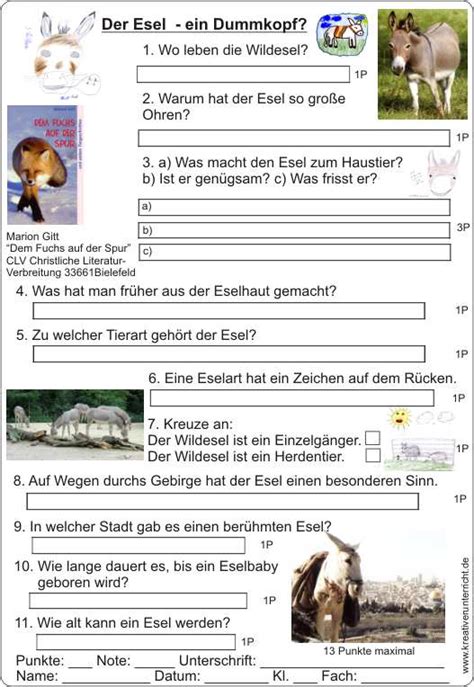 Klassenlekt Re Dem Fuchs Auf Der Spur Von Marion Gitt Clv Verlag