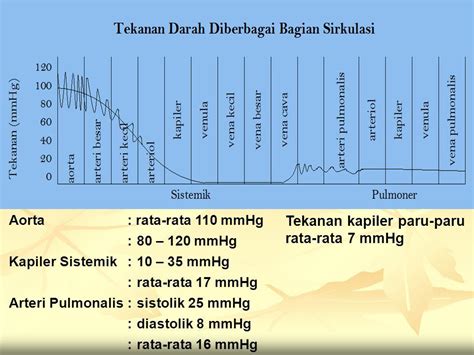 Sirkulasi Darah Dr Andi Pradana Sirkulasi Darah Sifat Fisik Sirkulasi