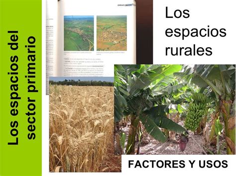 GEO 05 A Los Espacios Rurales Factores Y Usos Espacio Rural