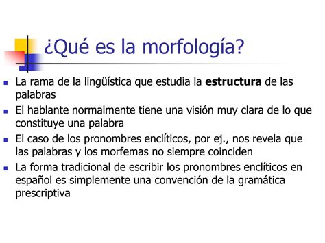 Morfologia Y Estructura De La Lenguappt