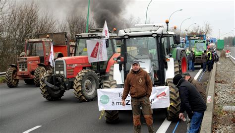 Manifestations Des Agriculteurs Ce Qui Vous Attend Toulouse Et Dans