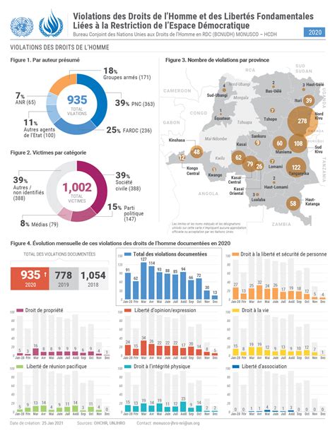 Principales Tendances Des Violations Des Droits De Lhomme JANVIER A