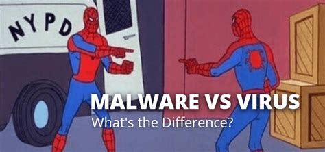 Malware vs Virus: What's the Difference?