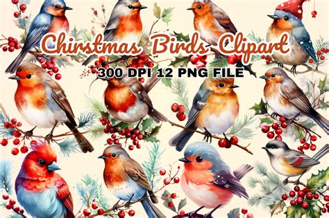 Christmas Birds Clipart Bundle Graphic By Regulrcrative Creative Fabrica