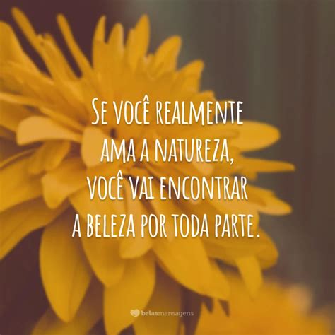 Frases De Natureza Para Valorizar Mais Seu Papel Importante