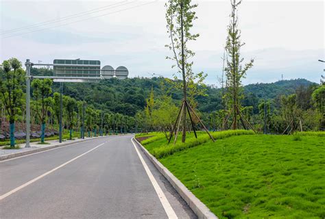 以绿化“养眼” 为城市“美颜” 云阳内环大道景观大变样 云阳网 云阳新闻 云阳县融媒体中心