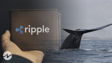 Whale Alert Xrp Transferred From An Unknown Wallet