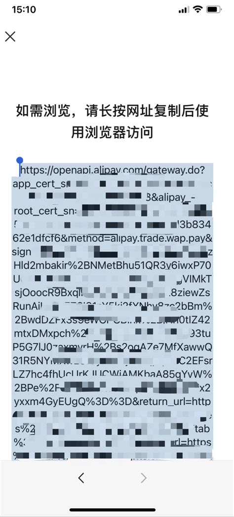 支付宝支付链接：如需浏览，请长按网址复制后使用浏览器访问？ 微信开放社区