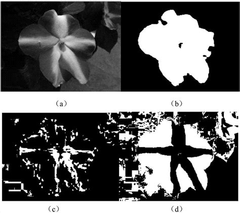 一种基于otsu的花朵图像分割方法与流程