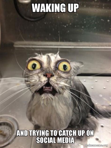 Waking Up And Trying To Catch Up On Social Media Cat Bath Meme Generator